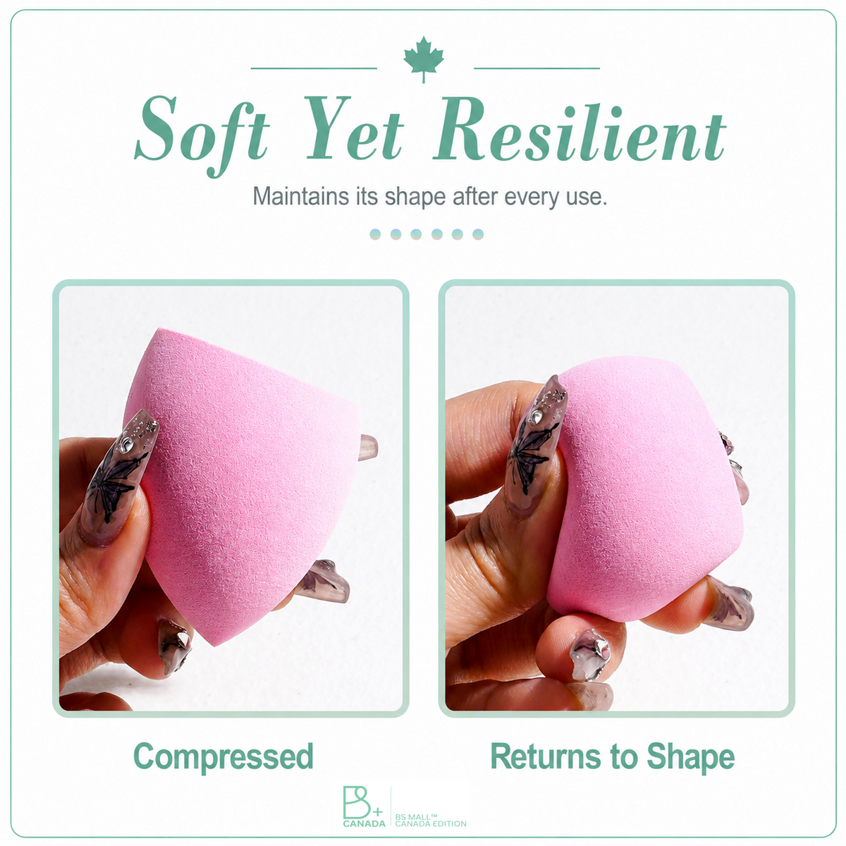 6 Multicolor Sponge Set